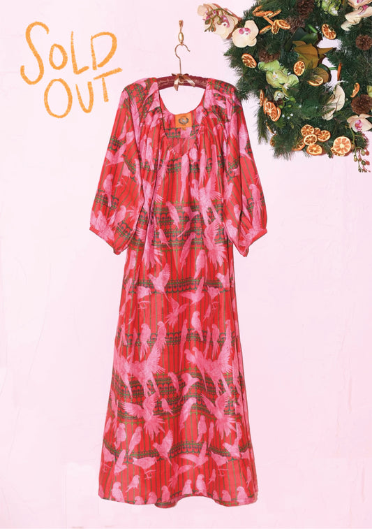 V Neck Maxi Dress in Parrot Cage Dragon Fruit Silk Dupioni